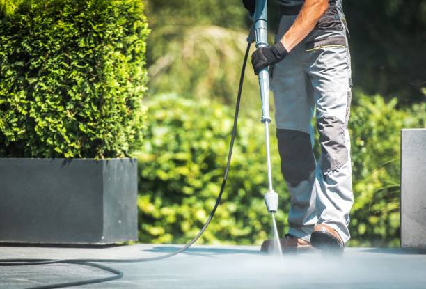 Best Animal Enclosure Cleaning  in Fremont, CA
